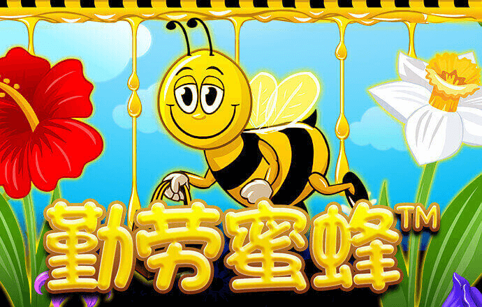 Bd体育网站登录